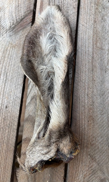 Hirschohren getrocknet für Hunde - Natürlicher Wild-Kausnack mit Biss