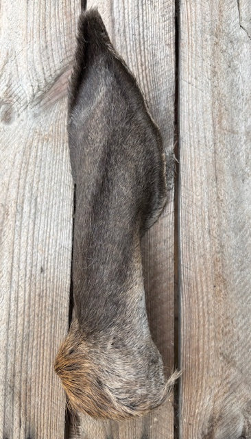 Dried Deer Ears for Dogs - Natural Wild Chew Snack with a Bite